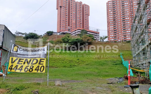 Lote-495-40720_8