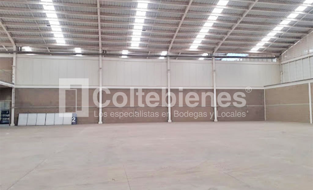 Bodega-495-40238_4