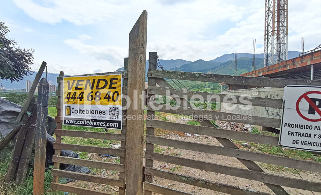 Lote-495-40812_4