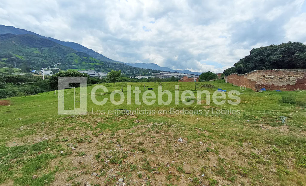 Lote-495-40812_8