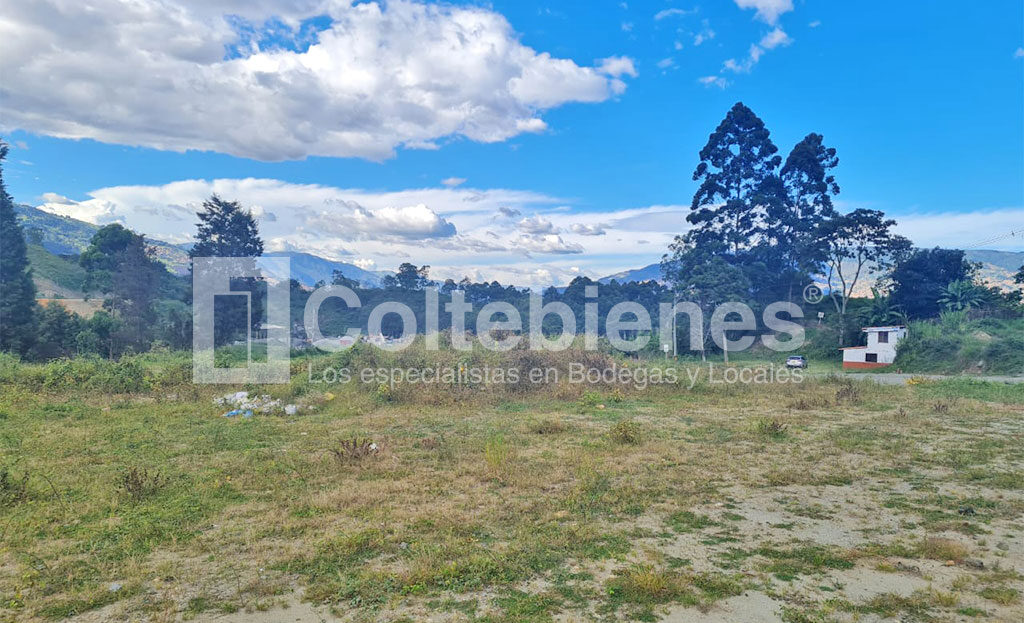 Lote-495-40845_1