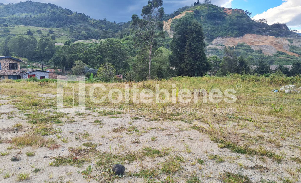 Lote-495-40845_10