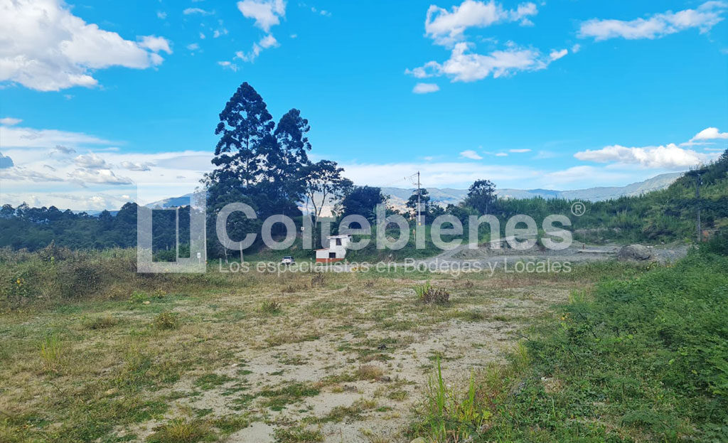 Lote-495-40845_2