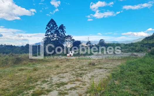 Lote-495-40845_2
