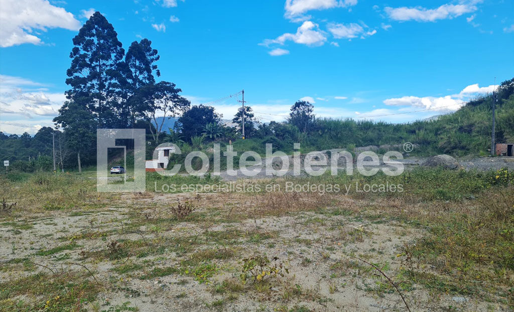 Lote-495-40845_6