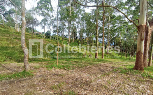 Venta de lote en El Alto de la Virgen-Antioquia