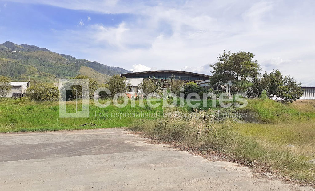 Lote-495-40850_13