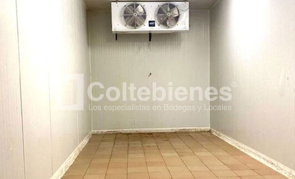 Bodega 495-40881_5