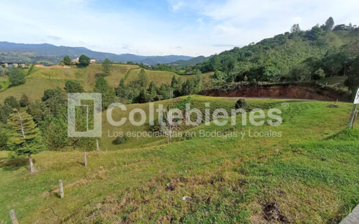 Lote-495-40898_16