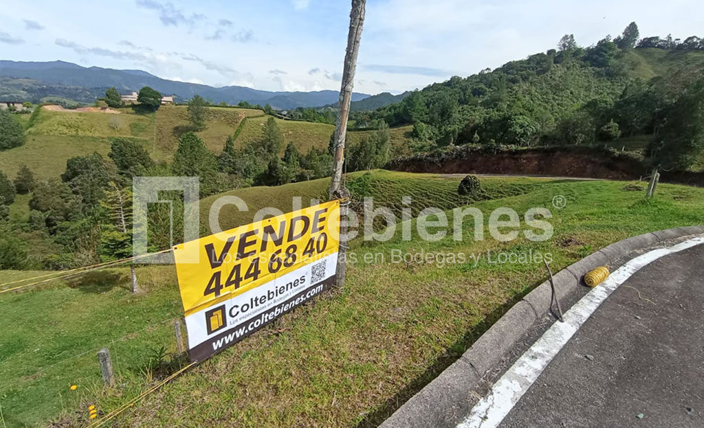 Lote-495-40898_9