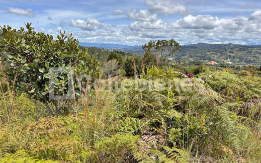 Venta de lote en Guarne-Antioquia