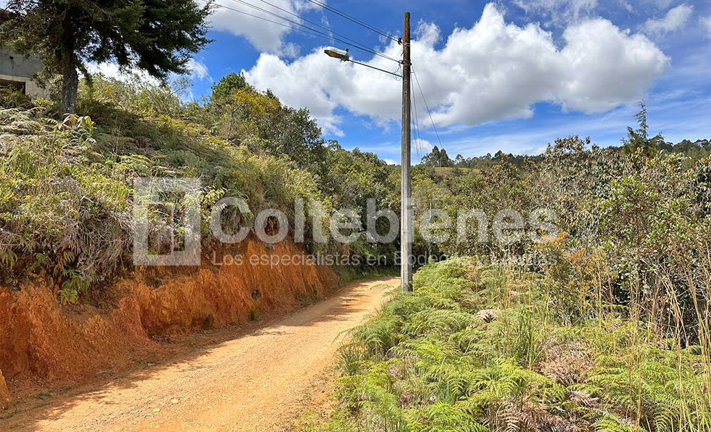 Lote-495-40944_2