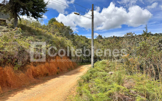 Venta de lote en Guarne-Antioquia