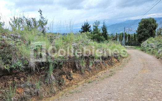 Venta de lote en Guarne-Antioquia