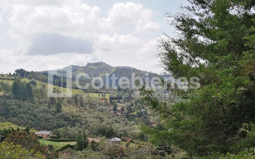 Venta de lote en Guarne-Antioquia