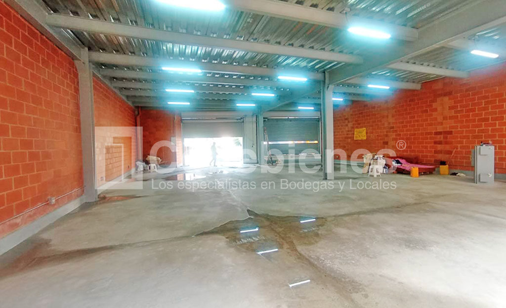 BODEGA-495-41056_9