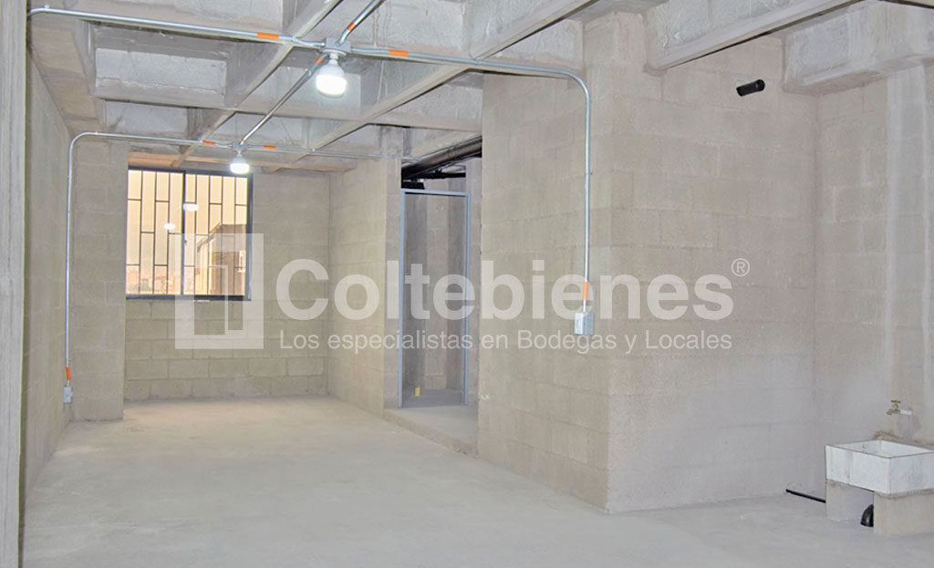 BODEGA-P2-495-41062_3