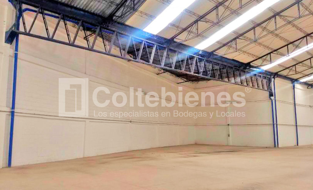 BODEGA-495-41083_2