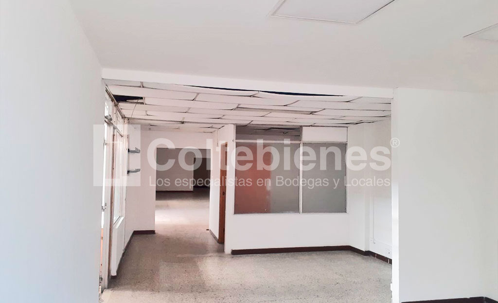 BODEGA-495-41120_8