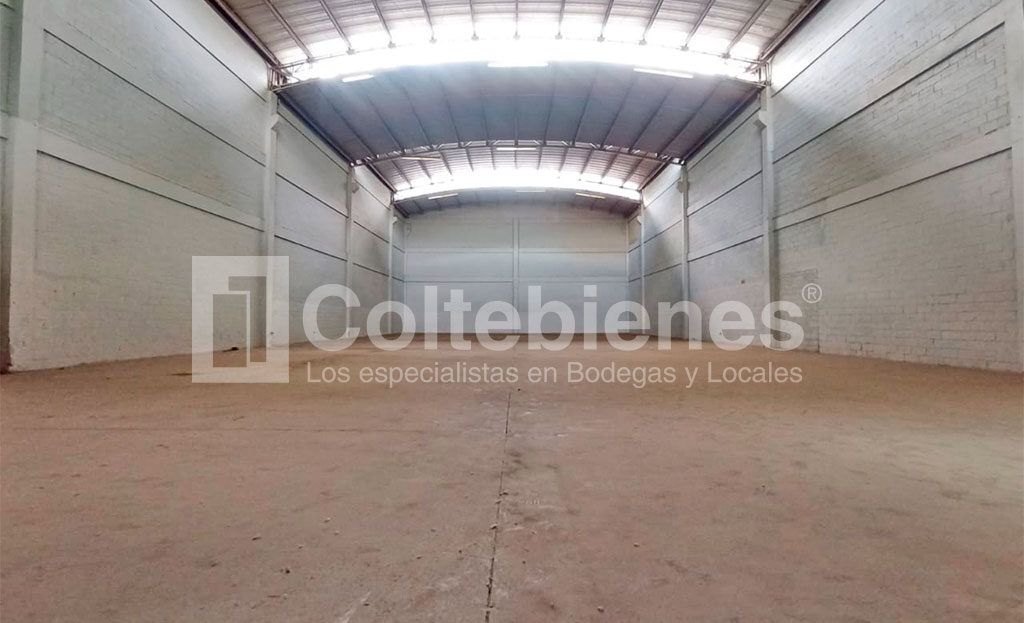 BODEGA-114-495-41187_1