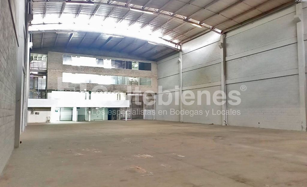 BODEGA-114-495-41187_2