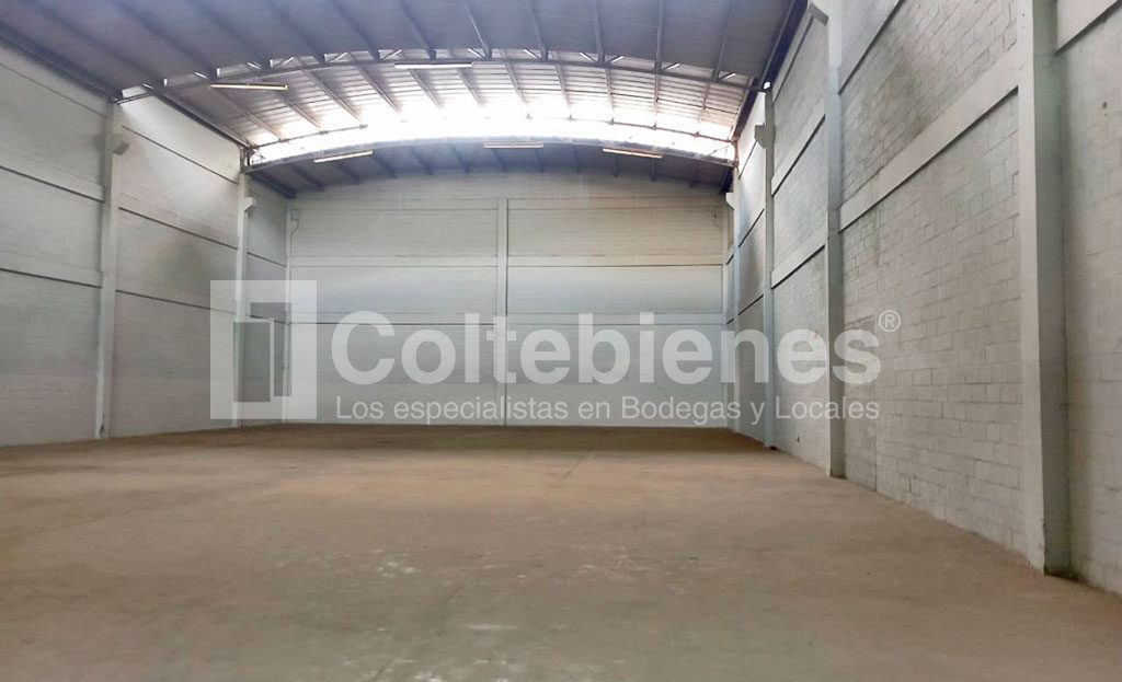 BODEGA-114-495-41187_3