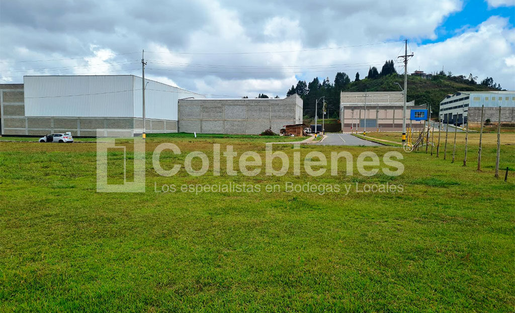 LOTE-21-495-41181_1