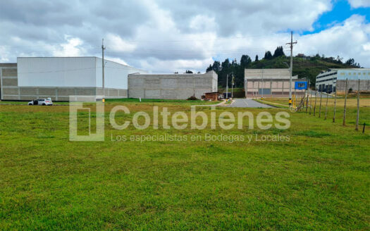 LOTE-21-495-41181_1
