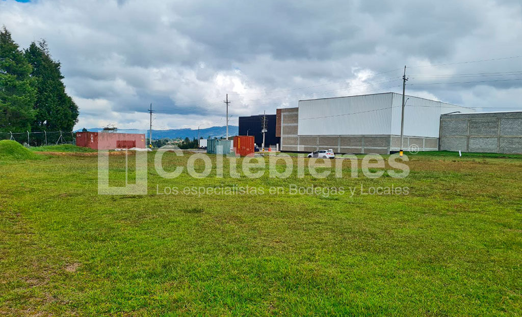 LOTE-21-495-41181_2