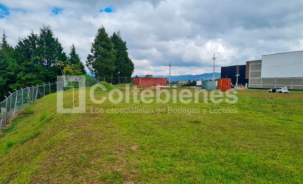 LOTE-21-495-41181_3