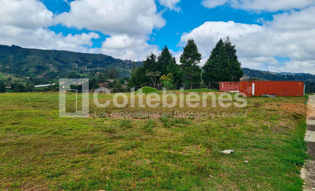 LOTE-21-495-41181_5