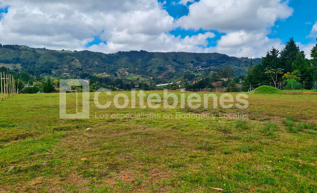 LOTE-21-495-41181_6