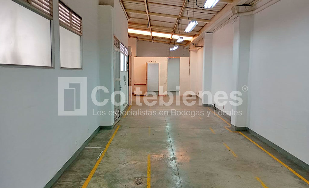 BODEGA-301-495-41244_3