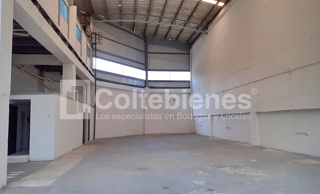 BODEGA-6-495-41219_2