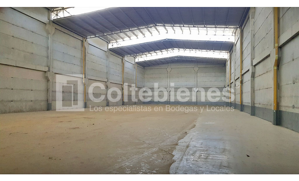 BODEGA-495-41265_4