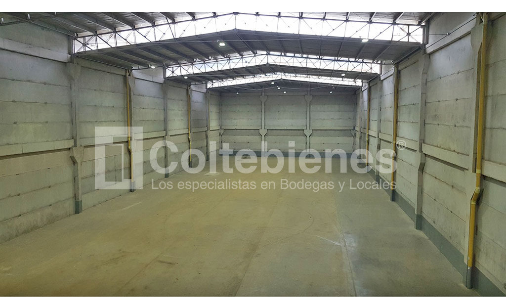 BODEGA-495-41265_7