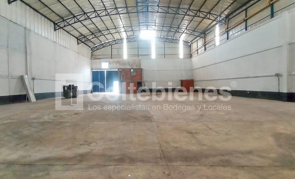 BODEGA-495-41276_4