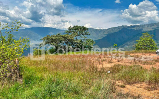 Venta de lote en San Jerónimo-Antioquia