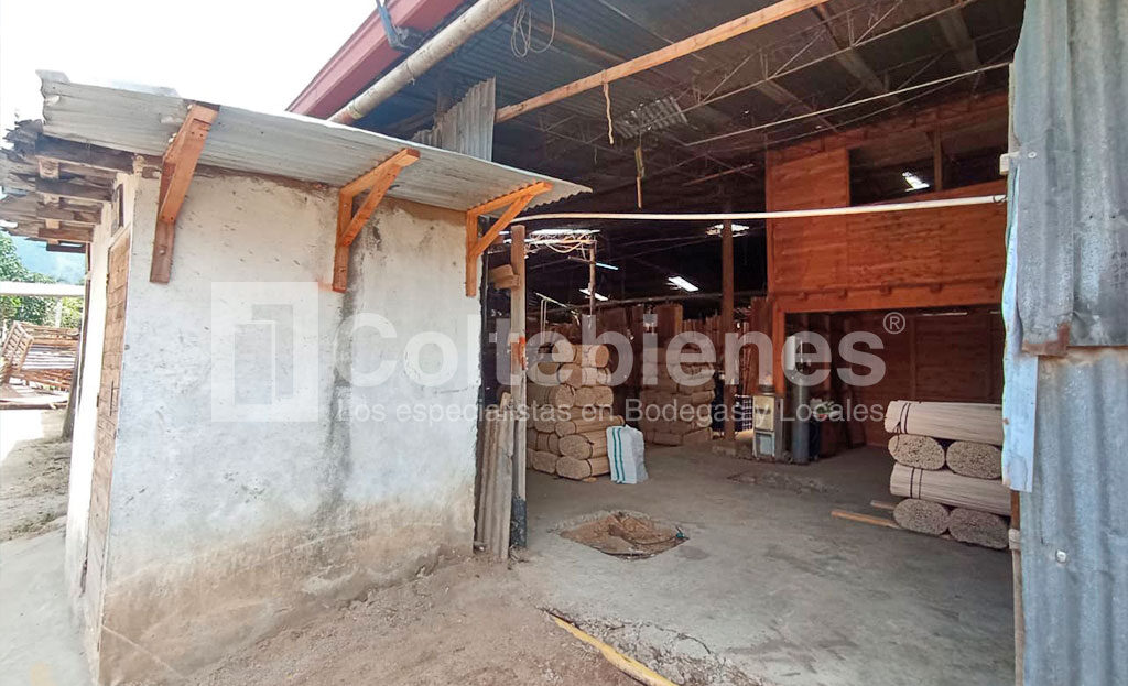 LOTE-495-41261_4