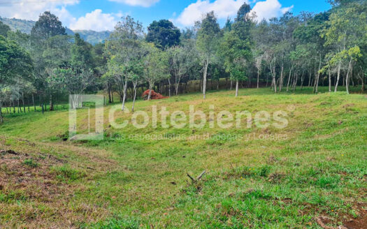 Venta de lote en Guarne-Antioquia