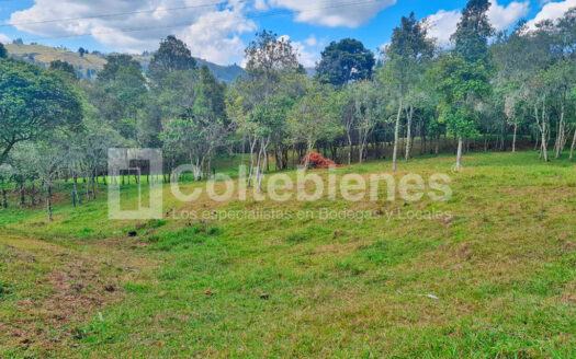 Venta de lote en Guarne-Antioquia