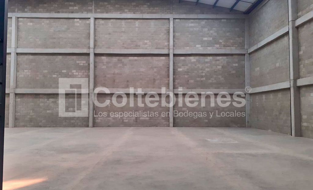 BODEGA-46-495-41365_2