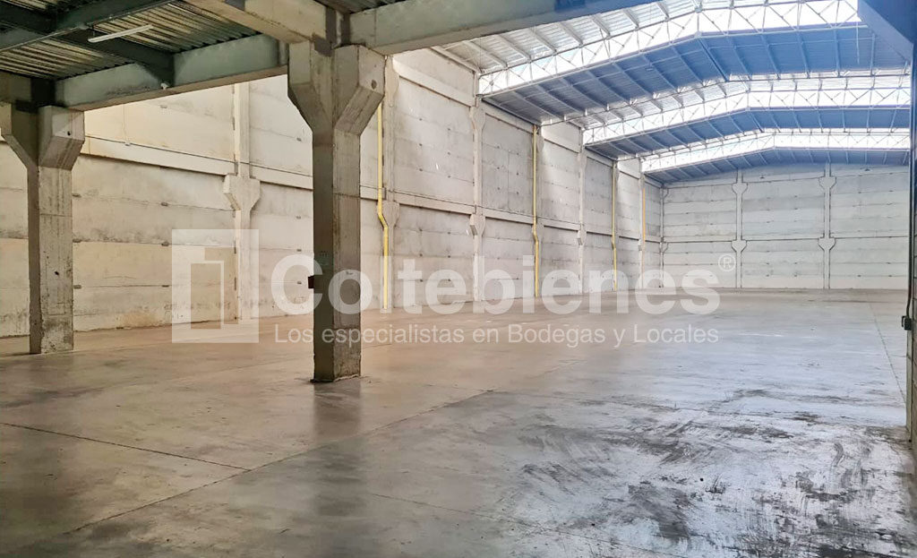 BODEGA-495-41367-68_5.