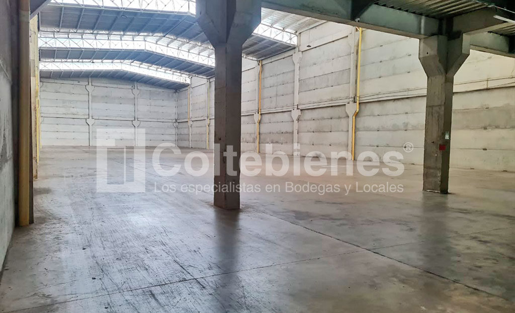 BODEGA-495-41367-68_6.