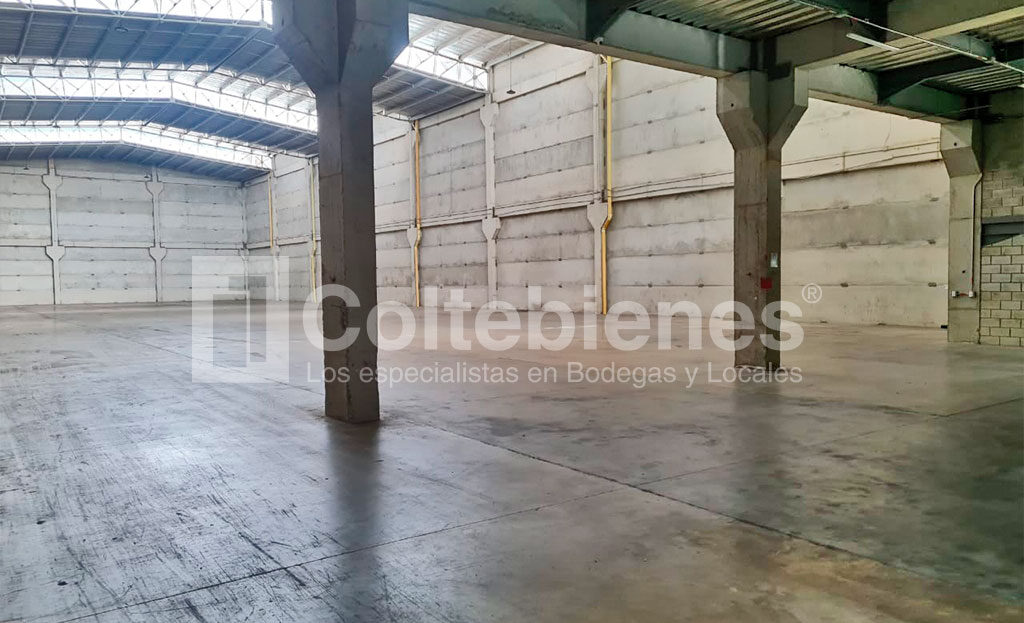 BODEGA-495-41367-68_8.