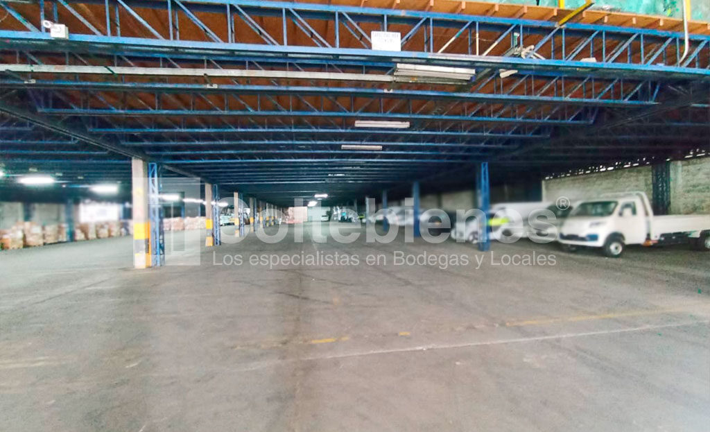 BODEGA-495-41394_14