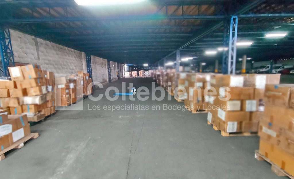 BODEGA-495-41394_15