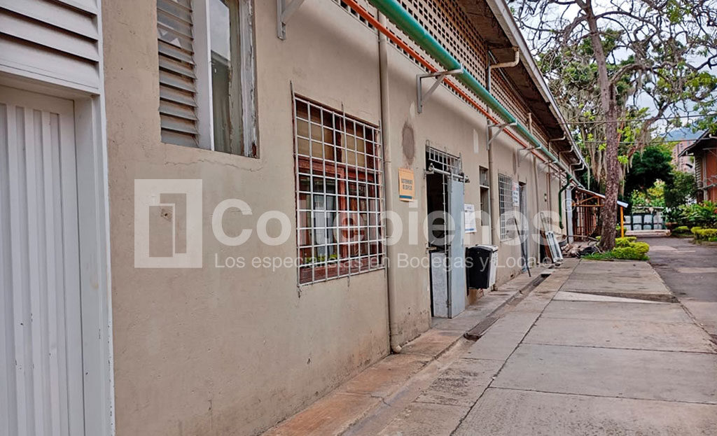 BODEGA-495-41395_10