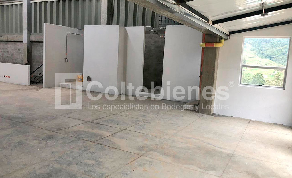 BODEGA-C8-495-41385_4