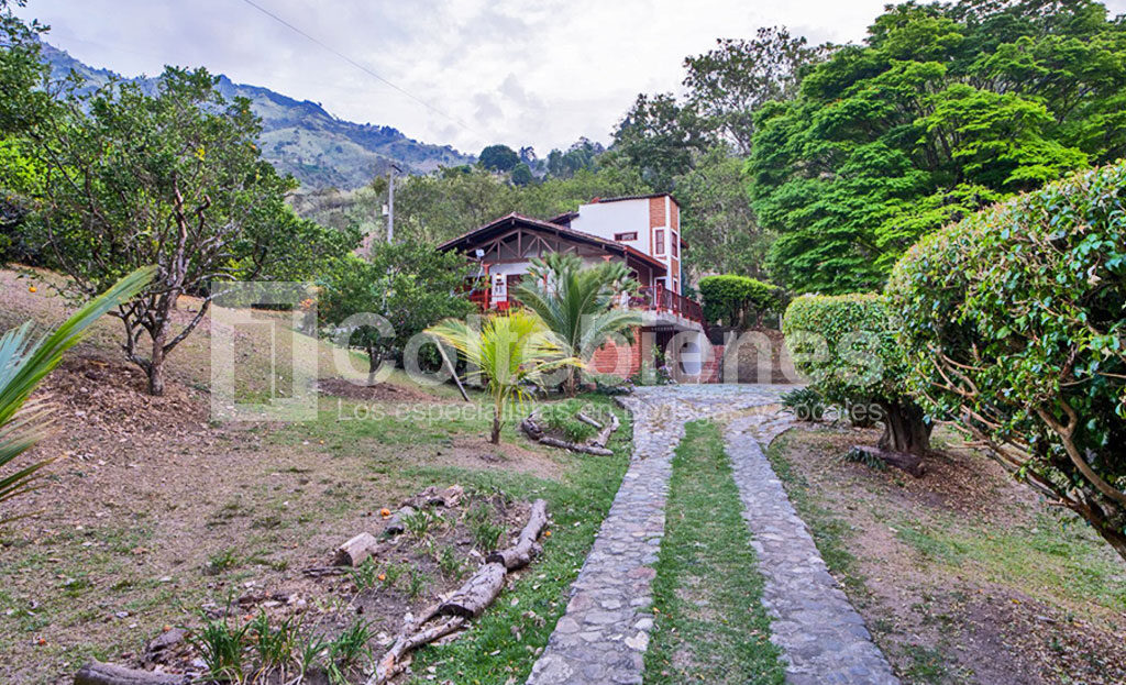 FINCA-495-41371_21